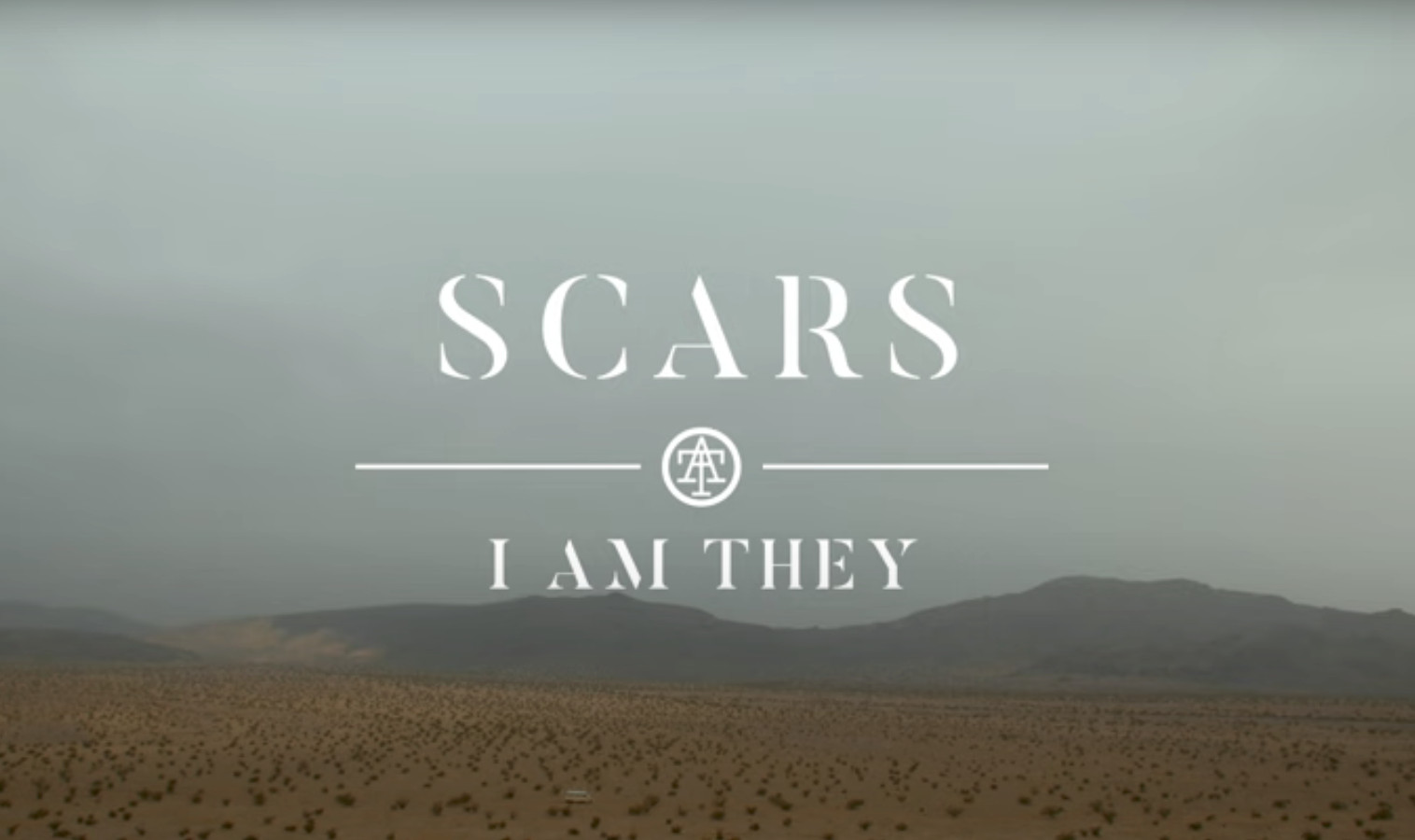 Thankful for Your Scars